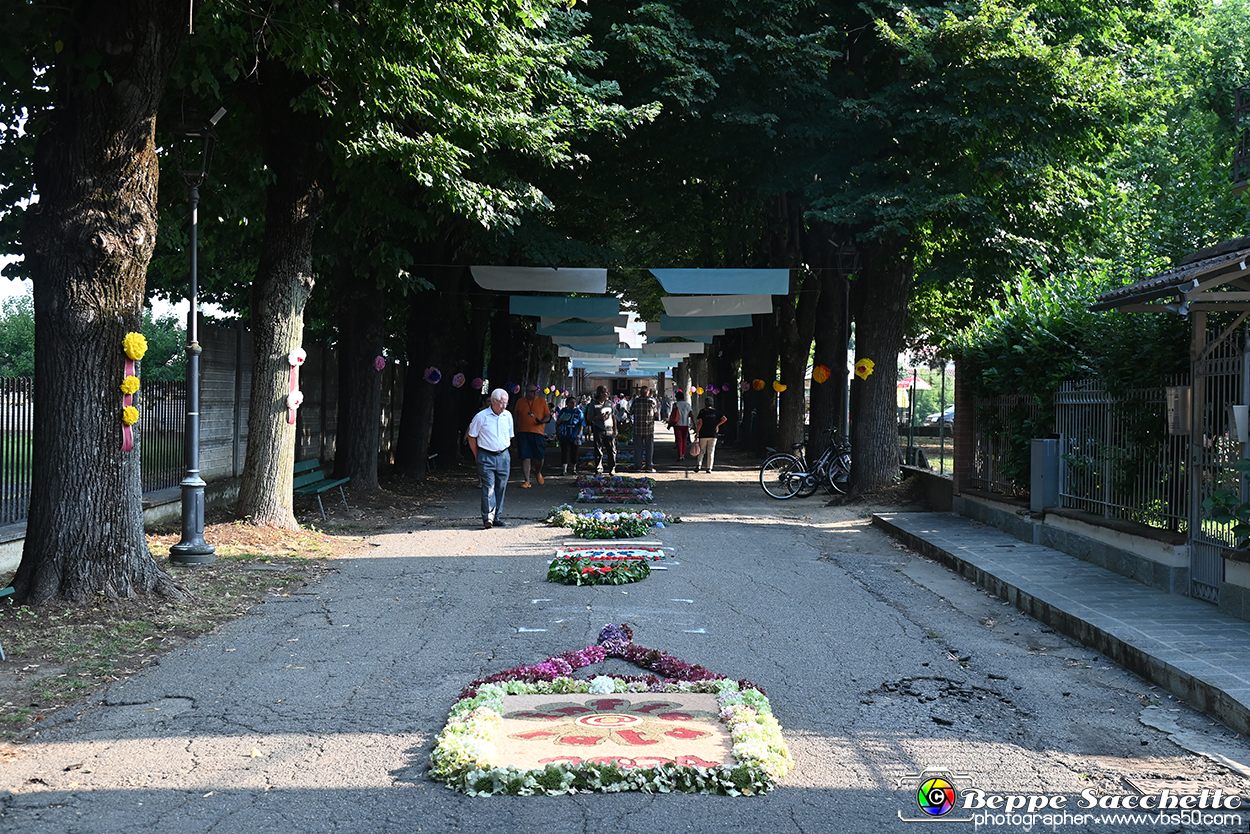 VBS_9797 - Infiorata Santuario della Madonnina di Villanova d'Asti 2024.jpg